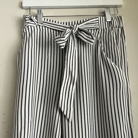 ARITZIA Wilfred Faun Pants in Black Stripe - Picture 8 of 11